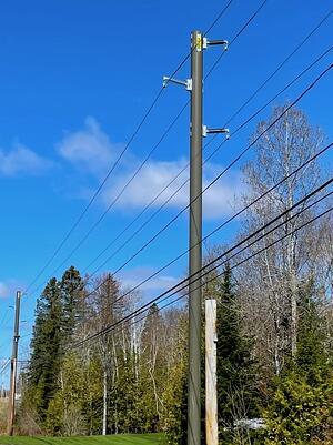 Versant Maine StormStrong Pole.png
